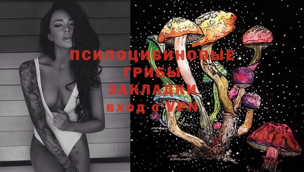 дживик Алзамай