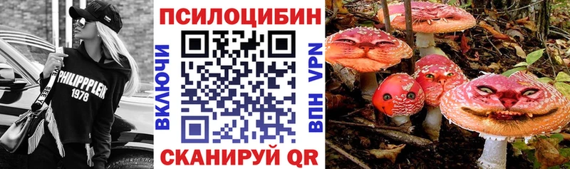 Псилоцибиновые грибы Cubensis  Бологое 